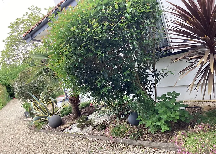 Guest House Arbore